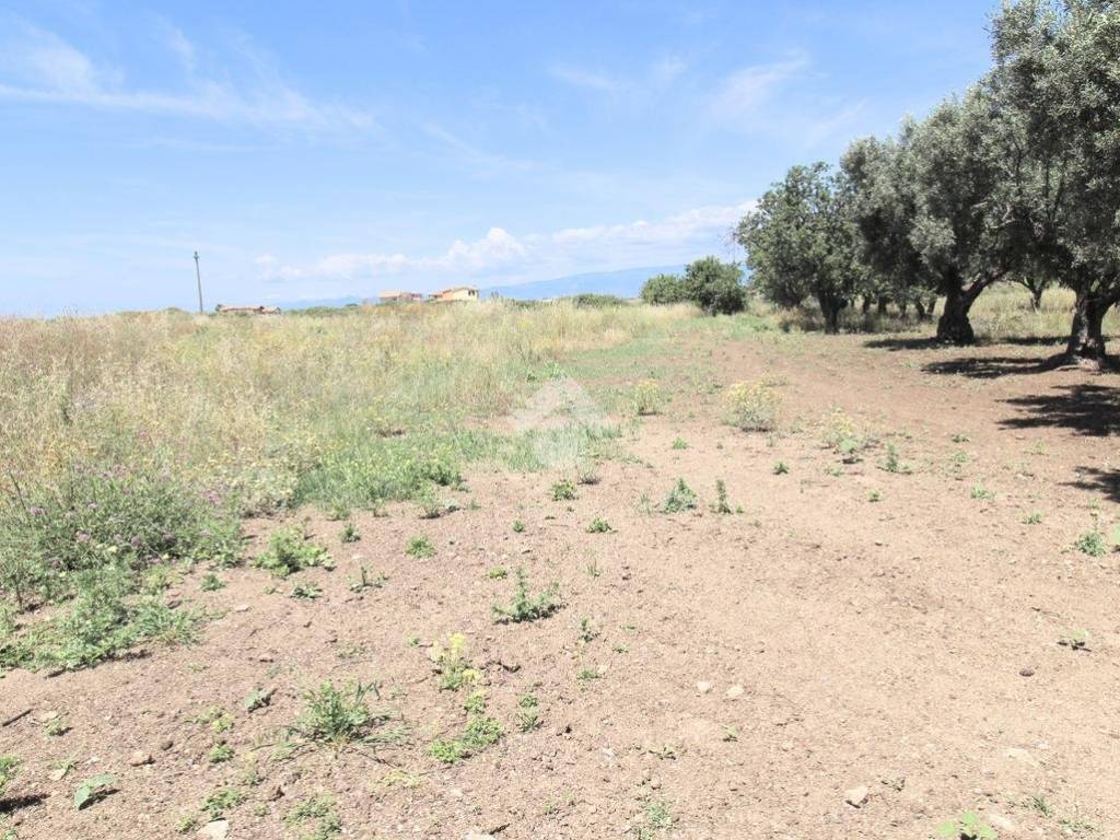 Terreno a Isola di capo rizzuto in Località Santa Domenica - Foto 5
