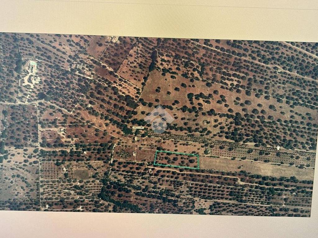 Terreno a Carovigno in Contrada Sfacilla - Foto 2