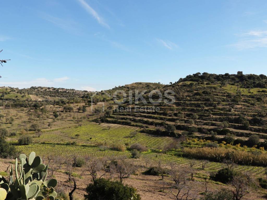 Terreno a Noto - Foto 3