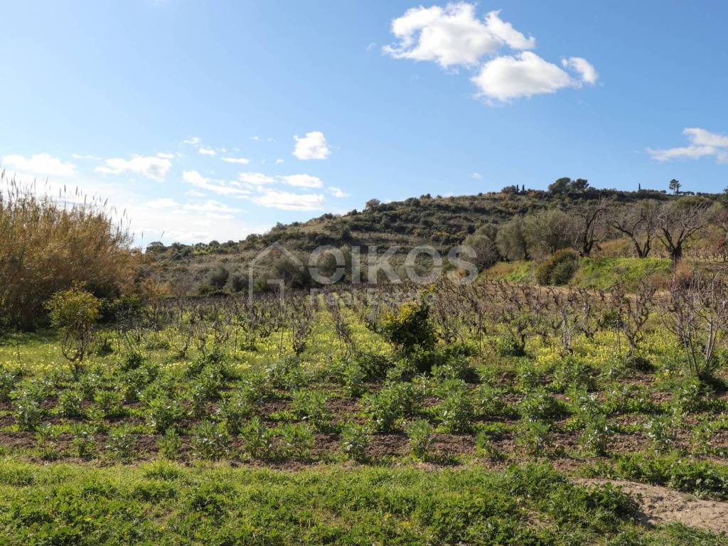 Terreno a Noto - Foto 5