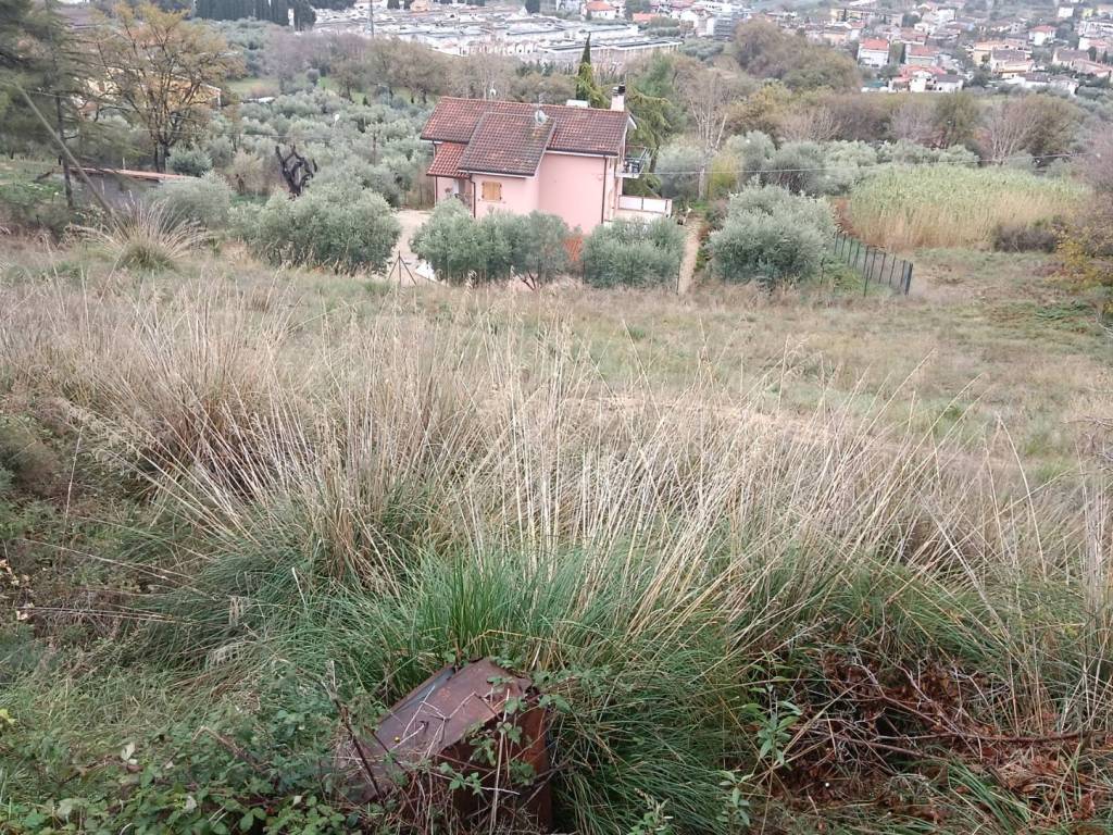 Terreno a Grottammare in strada provinciale cuprense - Foto 5