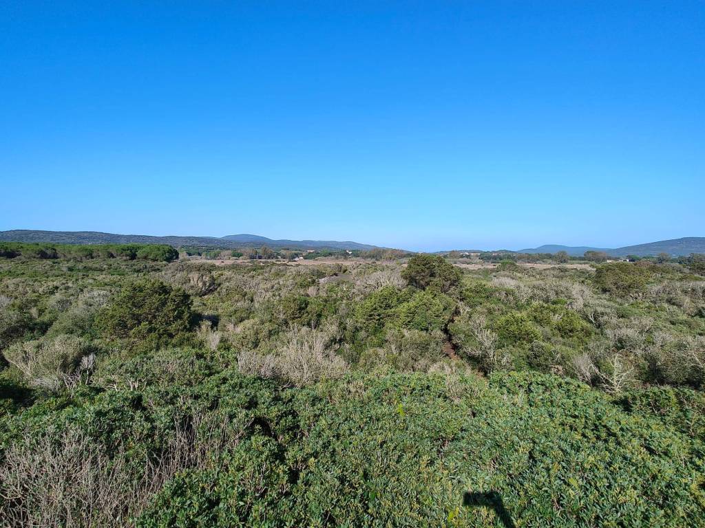 Terreno a Orbetello in Strada Provinciale Litoranea, 22 - Foto 2