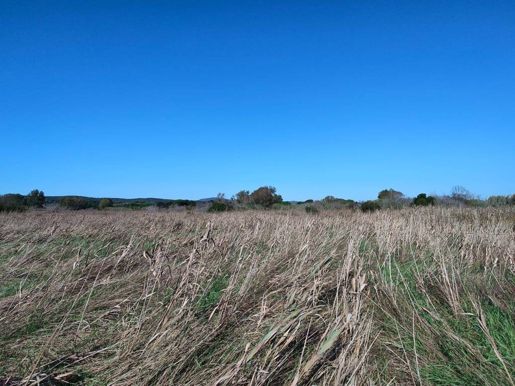 Terreno a Orbetello in Strada Provinciale Litoranea, 22 - Foto 3