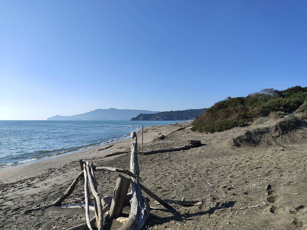 Terreno a Orbetello in Strada Provinciale Litoranea, 22 - Foto 4
