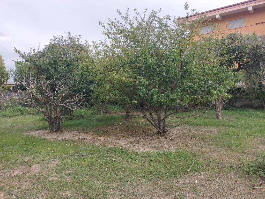 Terreno a Nicotera in Contrada Timpa - Foto 2