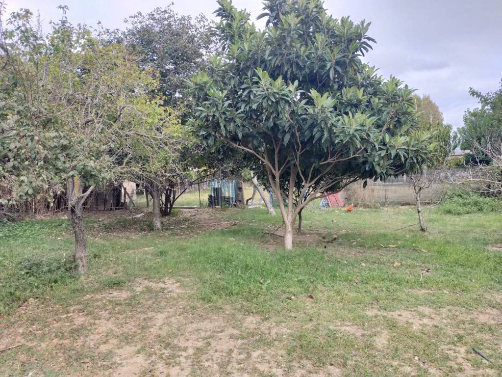 Terreno a Nicotera in Contrada Timpa - Foto 3