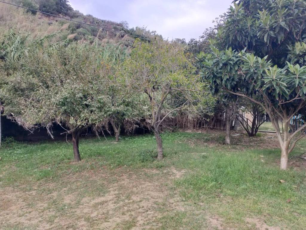 Terreno a Nicotera in Contrada Timpa - Foto 5