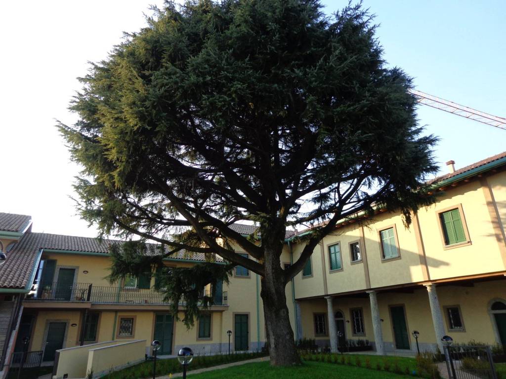 Appartamento a Ornago in Via Cascina Borella, 3 - Foto 3