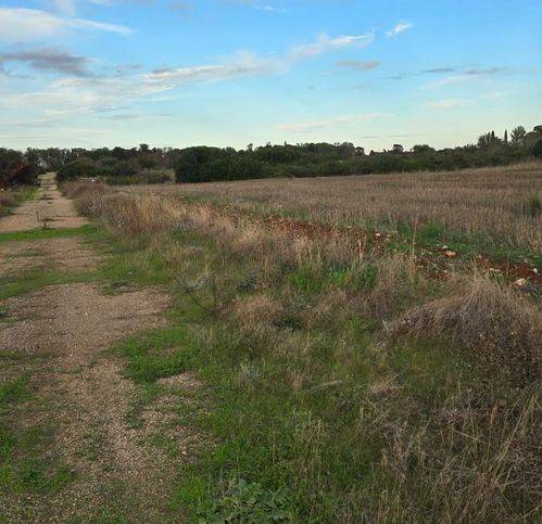Terreno a Nardò in Strada Torre Termite - Foto 3