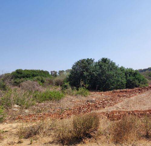Terreno a Nardò in Strada Torre Termite - Foto 4