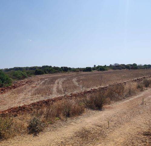 Terreno a Nardò in Strada Torre Termite - Foto 5