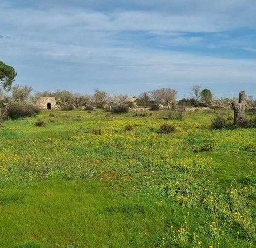 Terreno a Galatone in Vecchia Gallipoli 2 - Foto 4