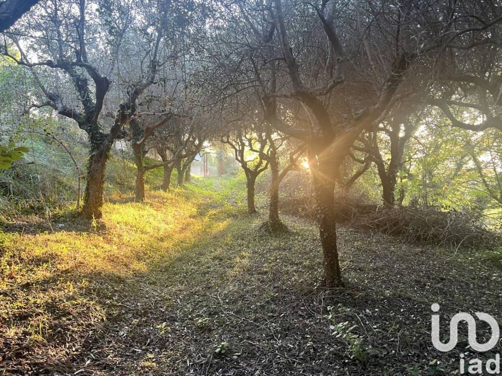 Terreno a Bardolino in Via Ca' Brusà, 12 - Foto 4