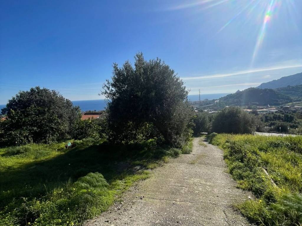 Terreno a Savoca in Via Scorsonello - Foto 4
