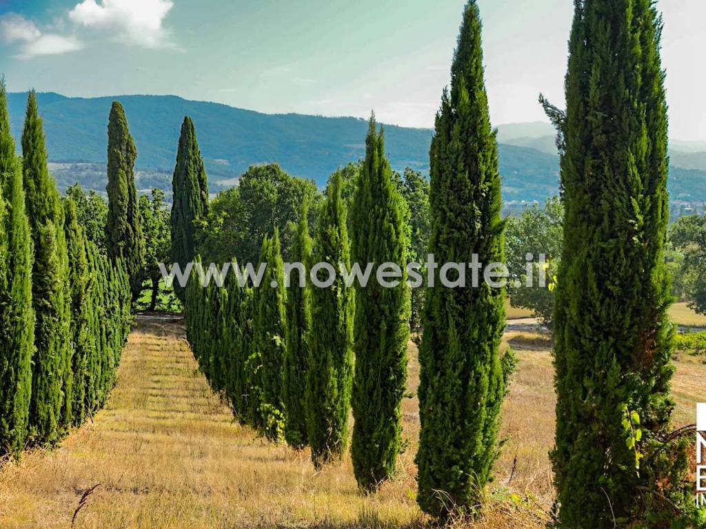 Villa a Sansepolcro in Frazione Montedoglio - Foto 4