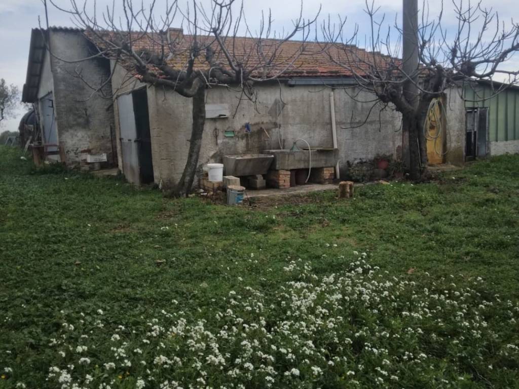 Rustico / casale a Collecorvino in Strada Vicinale Pasquali - Foto 2