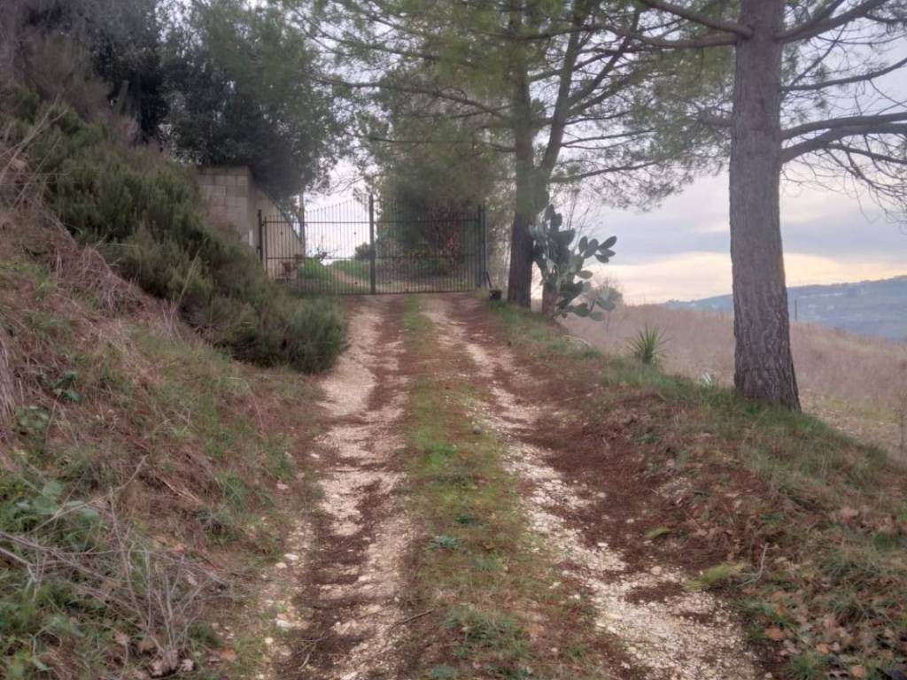 Rustico / casale a Collecorvino in Strada Vicinale Pasquali - Foto 4