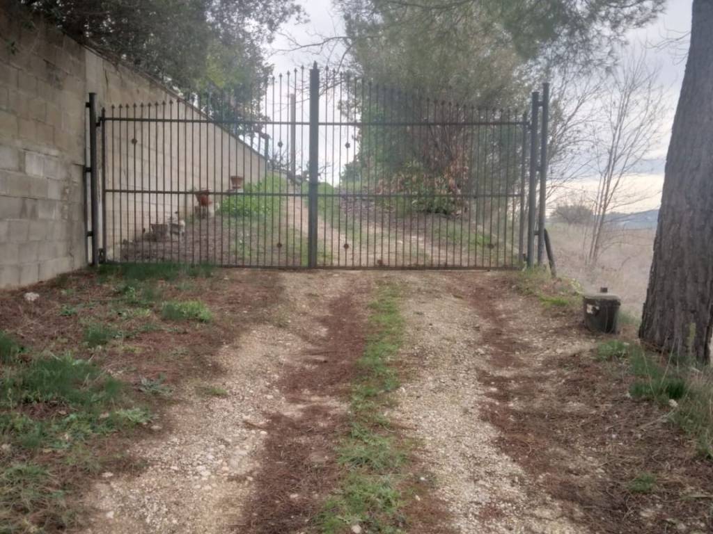Rustico / casale a Collecorvino in Strada Vicinale Pasquali - Foto 5