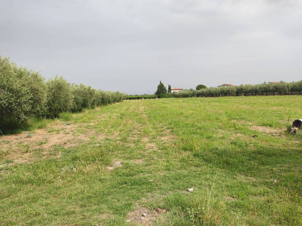 Terreno a San vito chietino in I Mancini, 5 - Foto 2