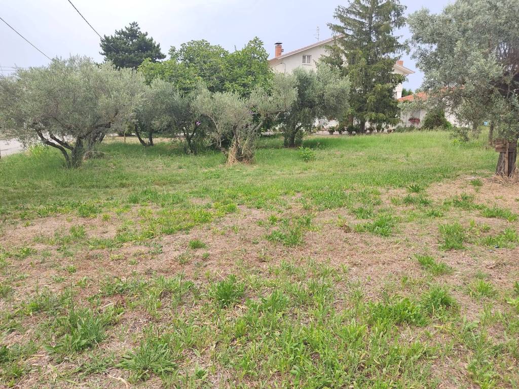Terreno a San vito chietino in I Mancini, 5 - Foto 3