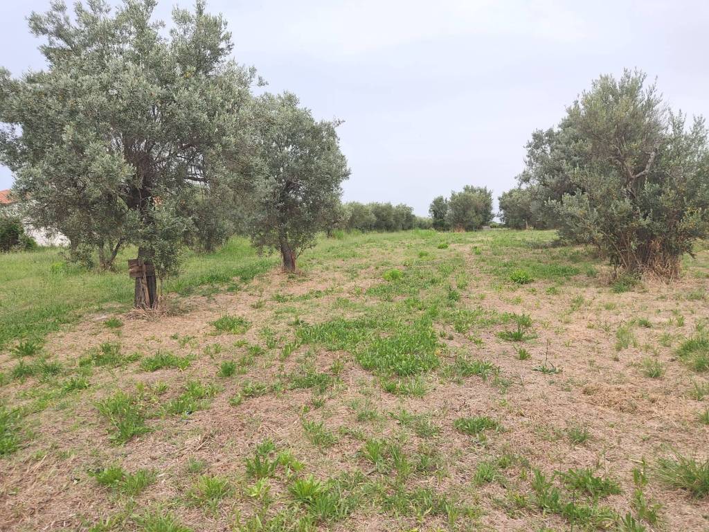 Terreno a San vito chietino in I Mancini, 5 - Foto 4
