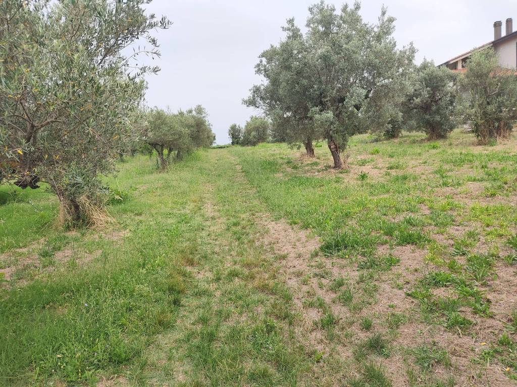 Terreno a San vito chietino in I Mancini, 5 - Foto 5