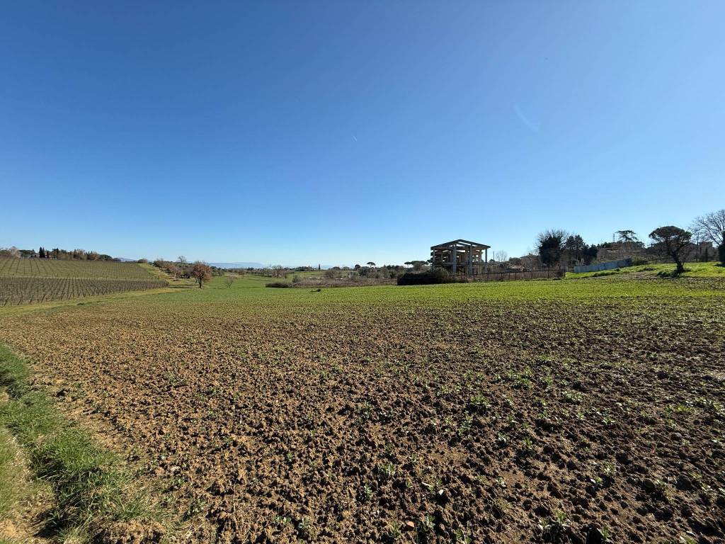 Terreno a Castiglione del lago in Strada Provinciale di Petrignano del Lago - Foto 3