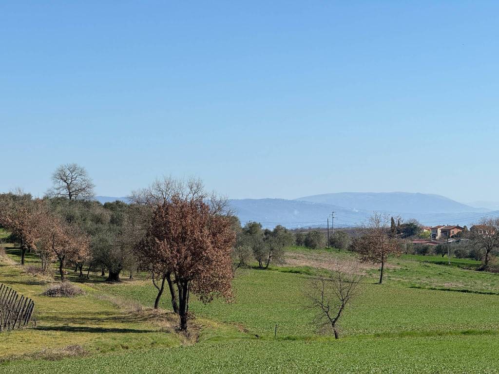 Terreno a Castiglione del lago in Viale Perugia - Foto 2