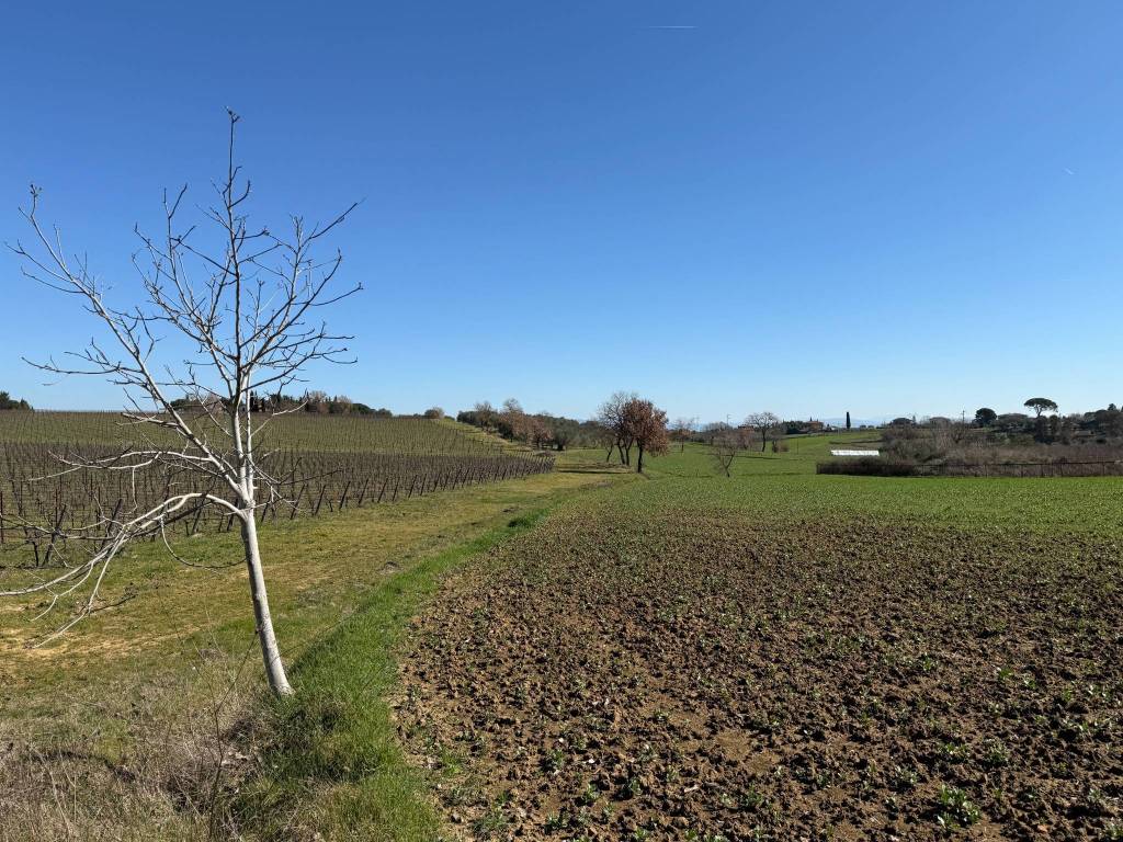 Terreno a Castiglione del lago in Viale Perugia - Foto 4