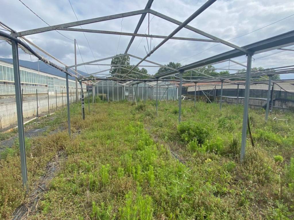 Terreno a Albenga in Regione Pratogrande - Foto 3