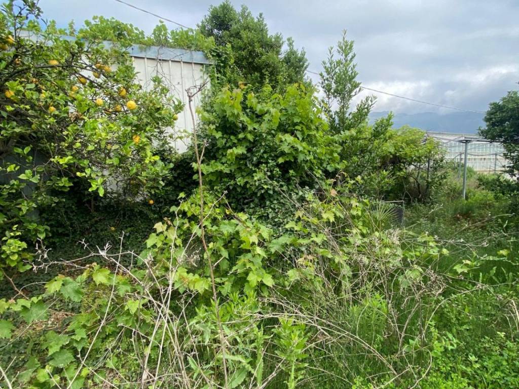 Terreno a Albenga in Regione Pratogrande - Foto 4