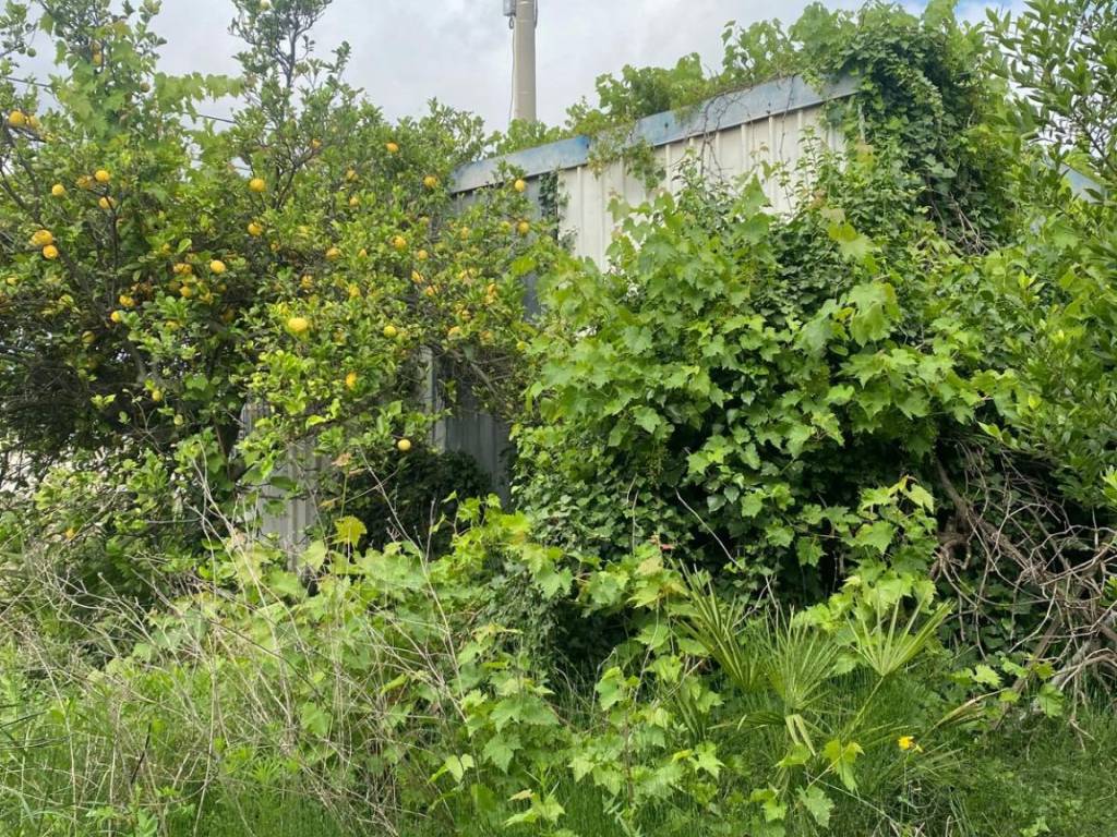Terreno a Albenga in Regione Pratogrande - Foto 5