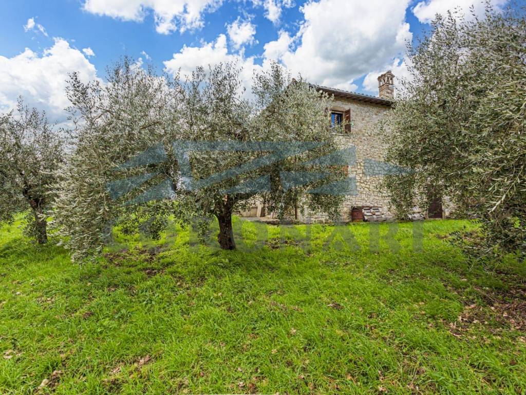 Rustico / casale a Todi in Vocabolo Ballucco Alto - Foto 4
