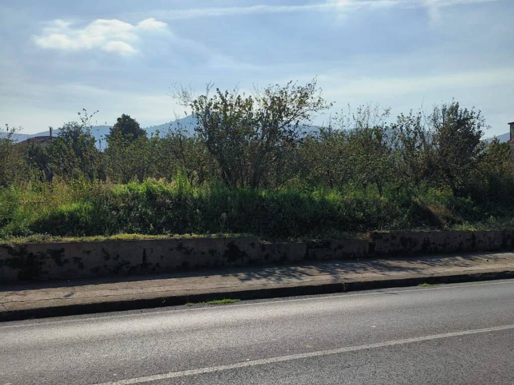 Terreno a Avella in Via Raffaello Sanzio - Foto 4