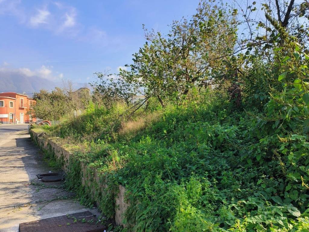 Terreno a Avella in Via Raffaello Sanzio - Foto 5