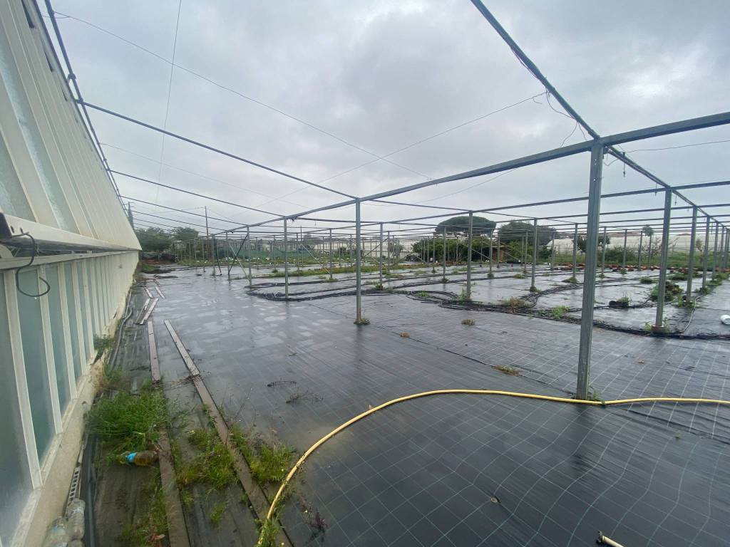 Terreno a Albenga in Regione Prato del Vescovo - Foto 3