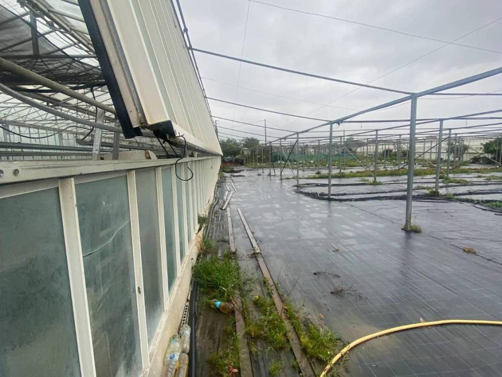 Terreno a Albenga in Regione Prato del Vescovo - Foto 5