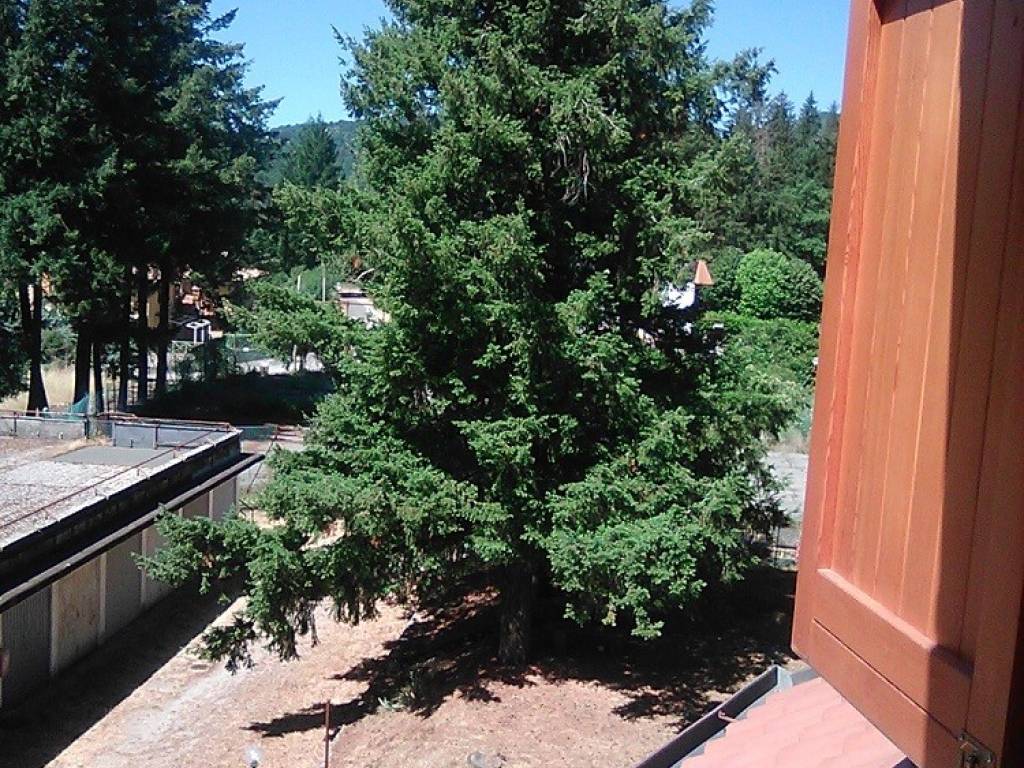 Appartamento a Trevi nel lazio in Piazza Suria, 24 - Foto 4