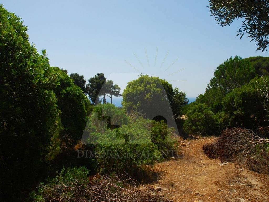 Terreno a Alessano in Strada Comunale Nuova di Novaglie - Foto 2