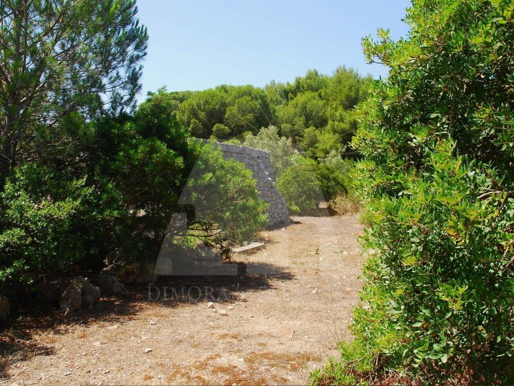 Terreno a Alessano in Strada Comunale Nuova di Novaglie - Foto 3