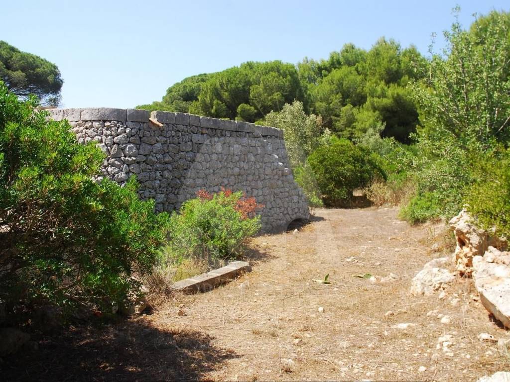 Terreno a Alessano in Strada Comunale Nuova di Novaglie - Foto 4