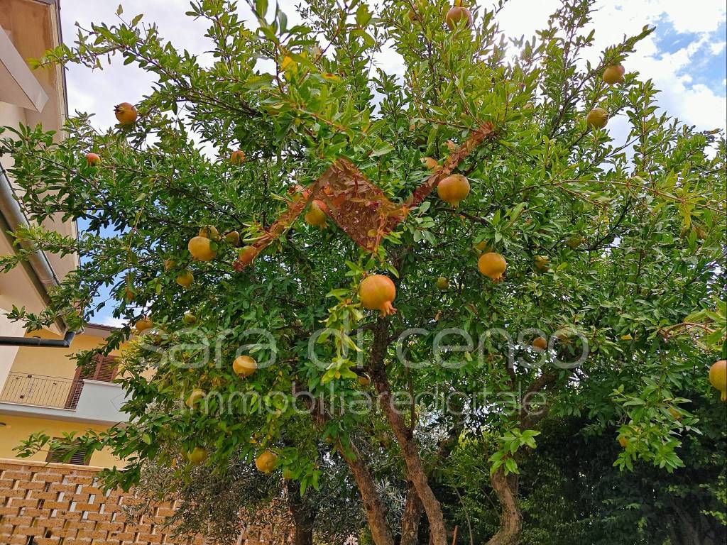 Villa a Raiano in Via Prezza, 69 - Foto 2