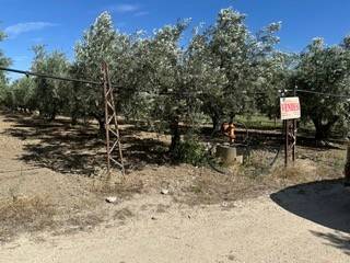 Terreno a San salvo - Foto 1