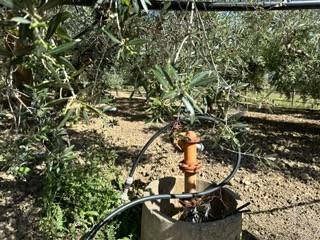 Terreno a San salvo - Foto 2