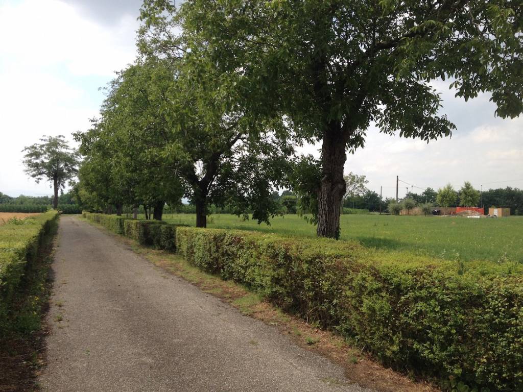 Terreno a Piacenza in Via Val Nure, 15 - Foto 5