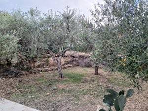 Villa a Cinisi in Via Giuseppe Fava - Foto 5