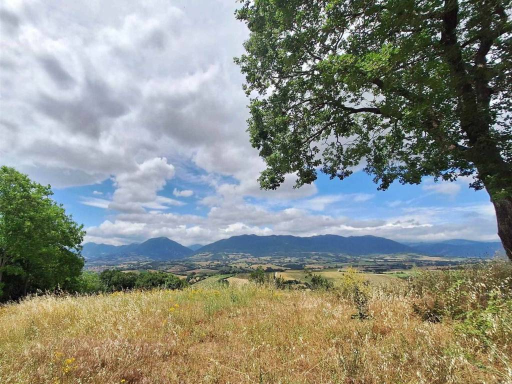 Terreno a Gagliole - Foto 2