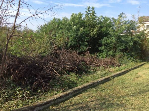 Terreno a Piacenza - Foto 2