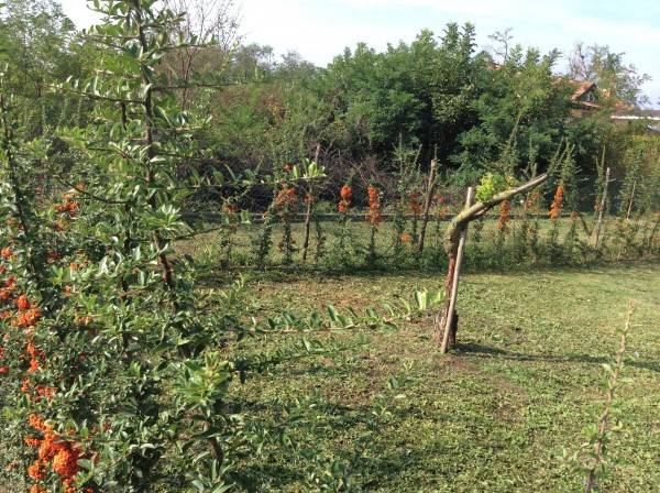 Terreno a Piacenza - Foto 4