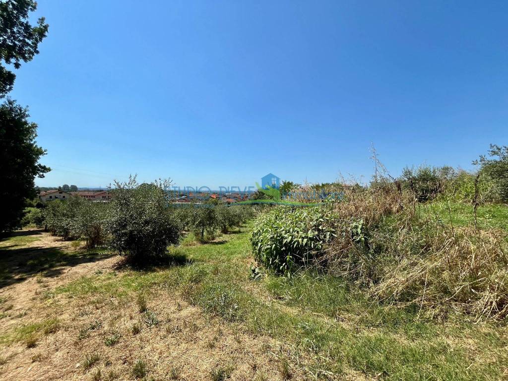 Terreno a Monsummano terme in Via Segalare - Foto 5